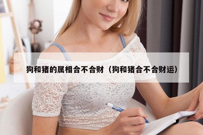狗和猪的属相合不合财（狗和猪合不合财运）