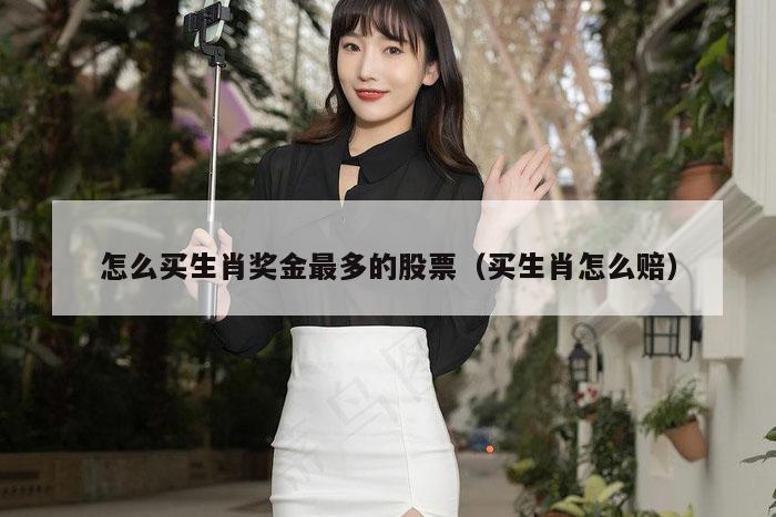 怎么买生肖奖金最多的股票（买生肖怎么赔）